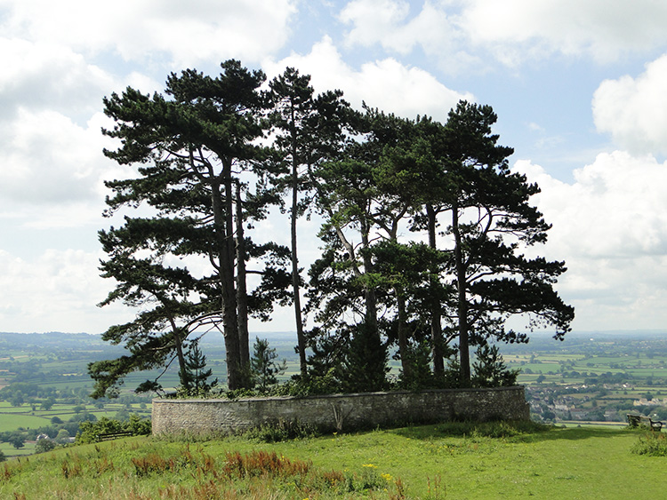 Wotton Hill and the walled enclosure