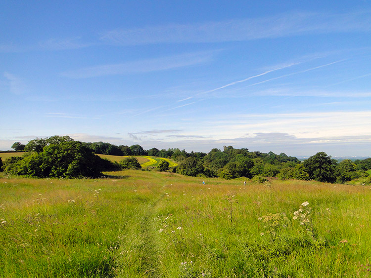 Grass meadow near Horton