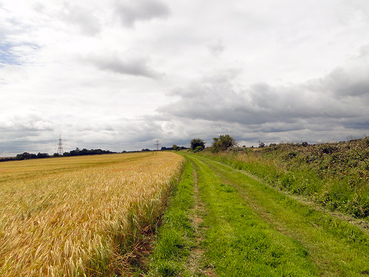 The long field lane