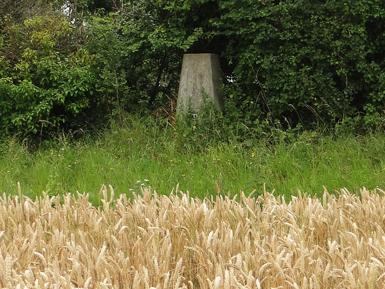 Secluded 32 metre trig pillar