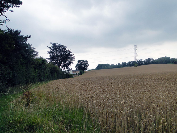 Climbing to Norton Camp