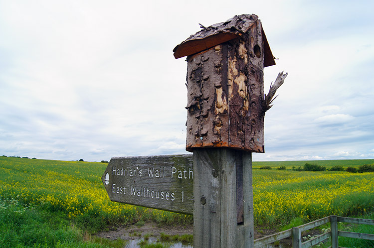 Dual purpose way post to East Wallhouses