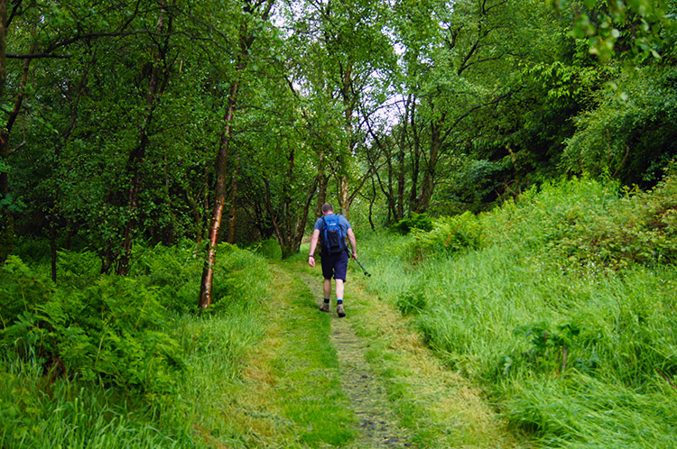 Tim walks through woodland at Cockmount Hill