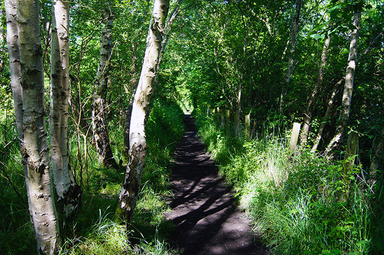 Walking along the Cumbria Coastal Way