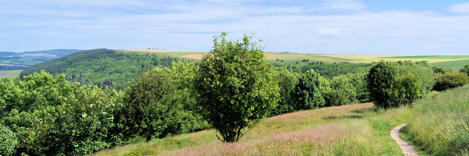 Following the Cleveland Way Footpath from Sutton Bank towards Osmotherley