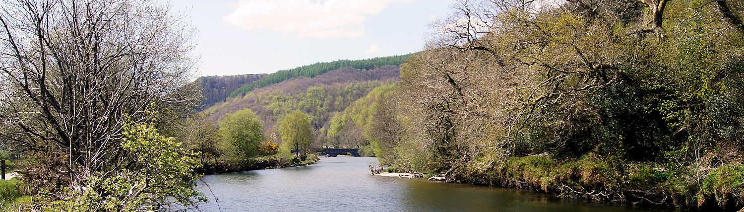 On Glyndwrs Way by Afon Dyfi/ River Dovey near Machynlleth