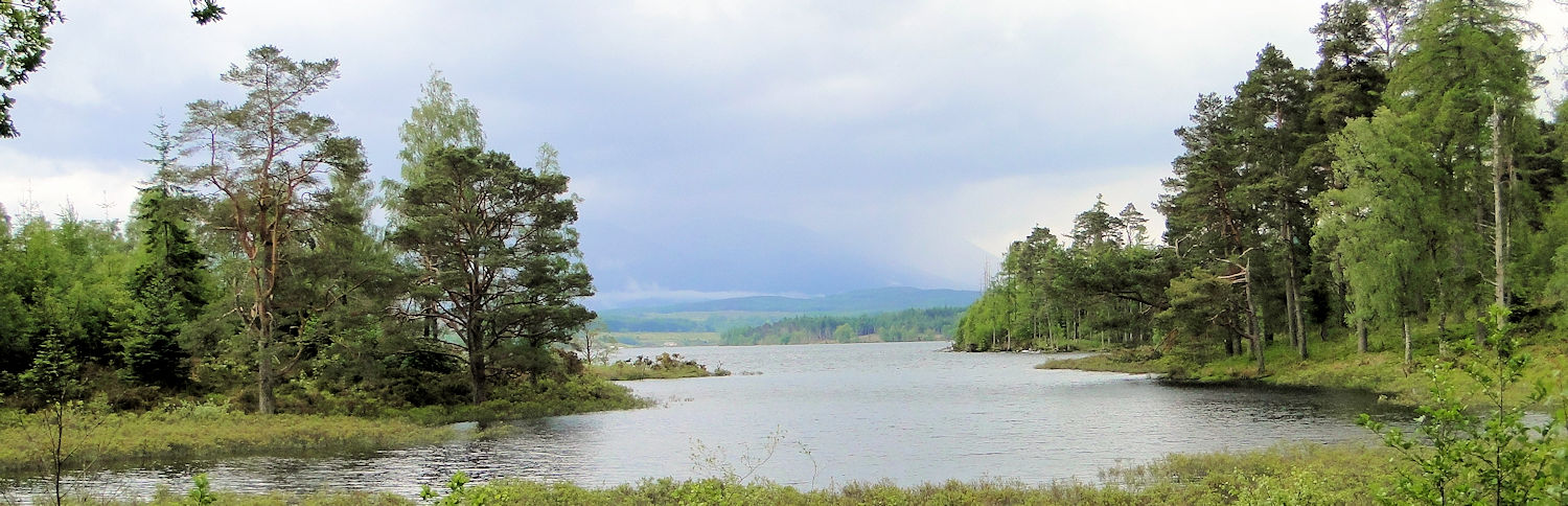 A view from near Gairlochy on the Great Glen Way