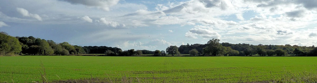 A countryside view from the Peddars Way Path