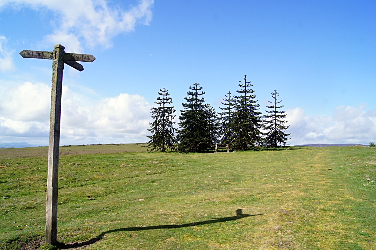 Hergest Ridge