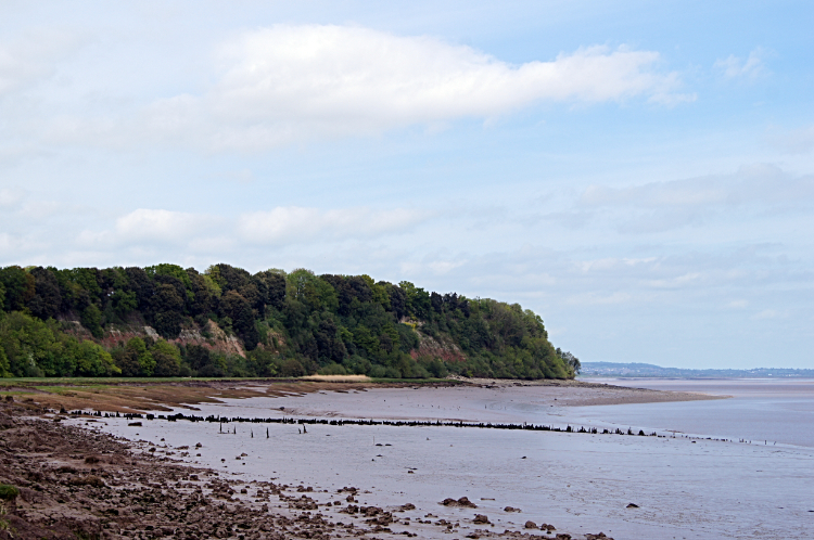 Sedbury Cliffs