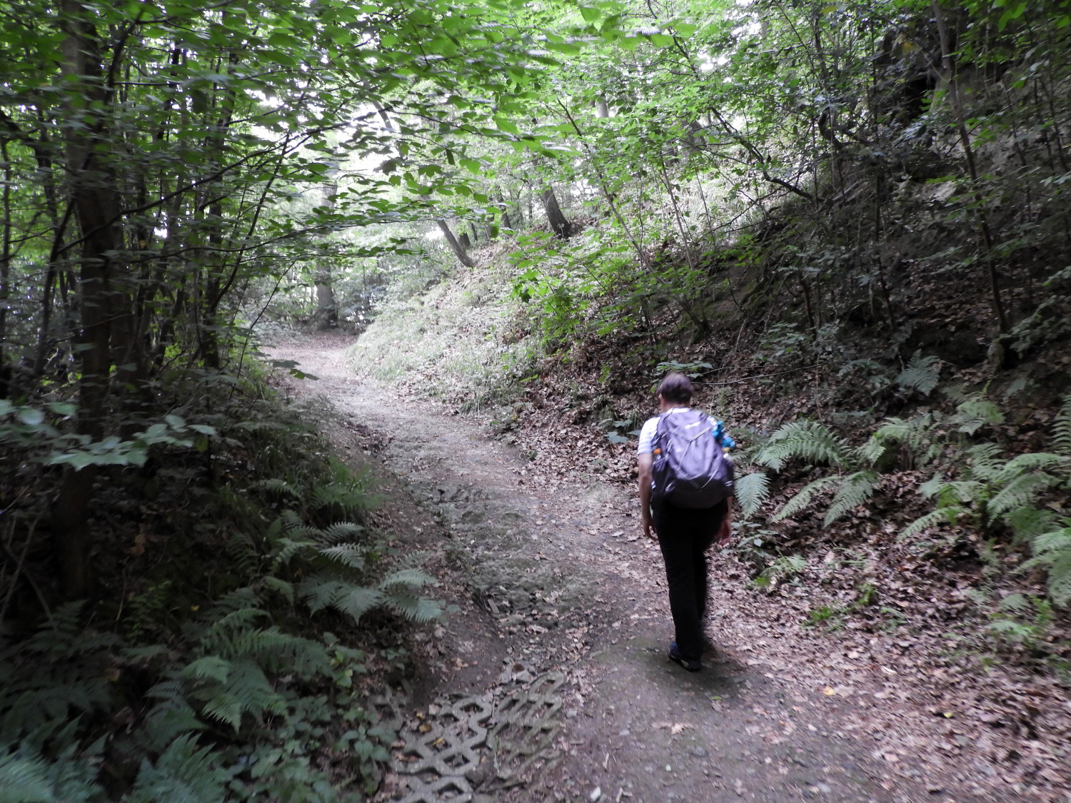 On the climb from Rolandswerth