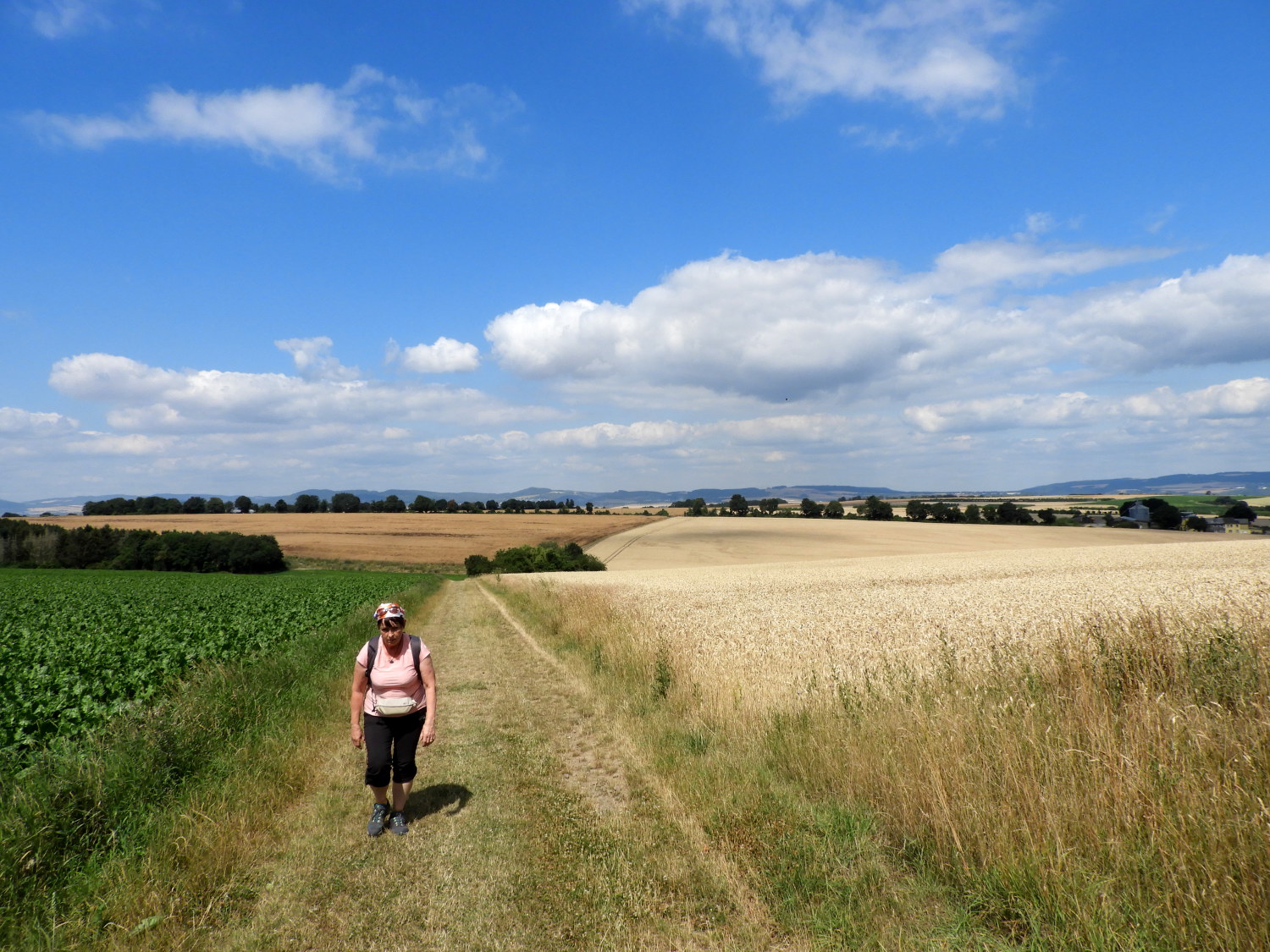 Another stretch of arable field walking