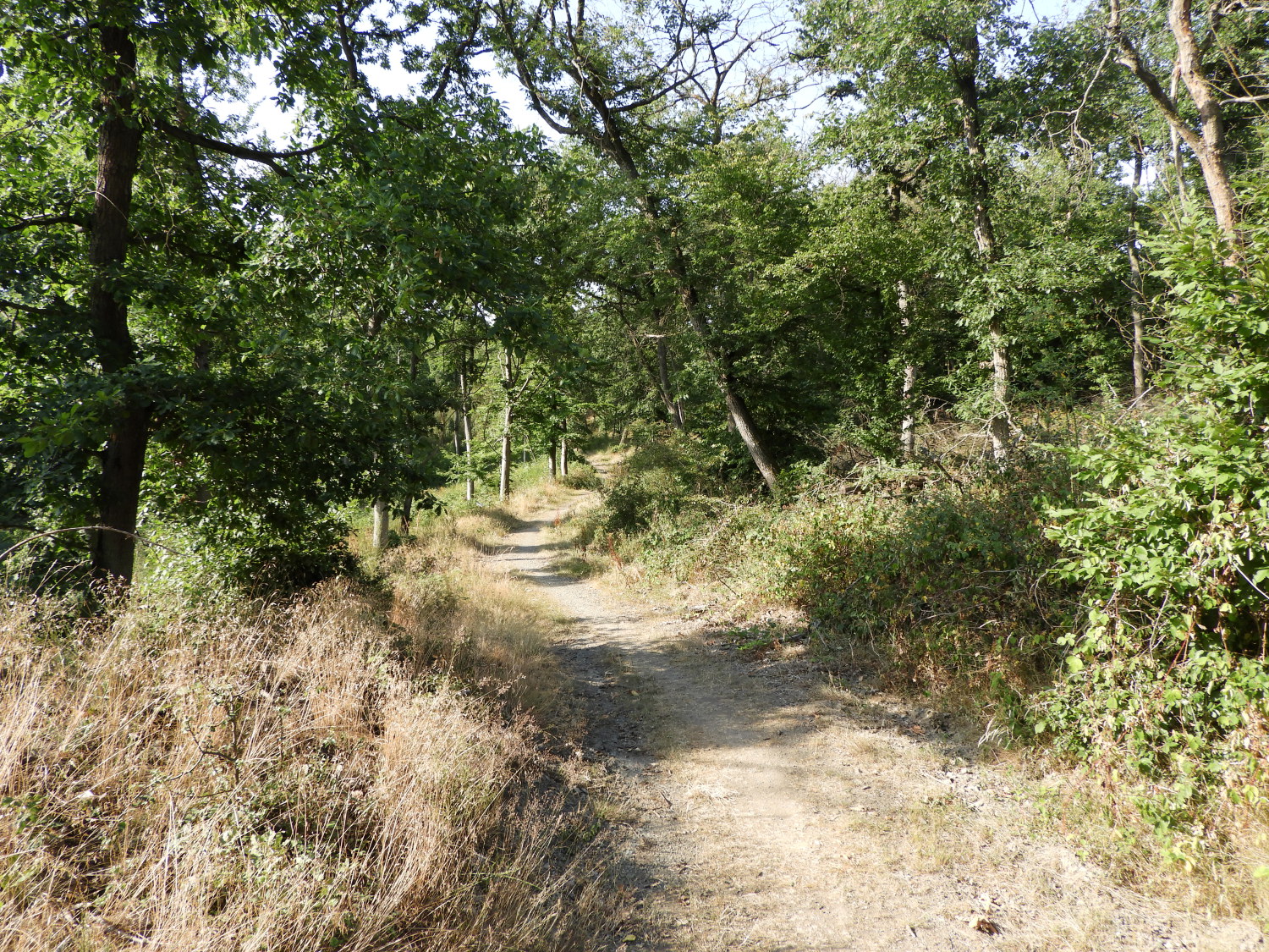 The path from Konigsberg to Vogel