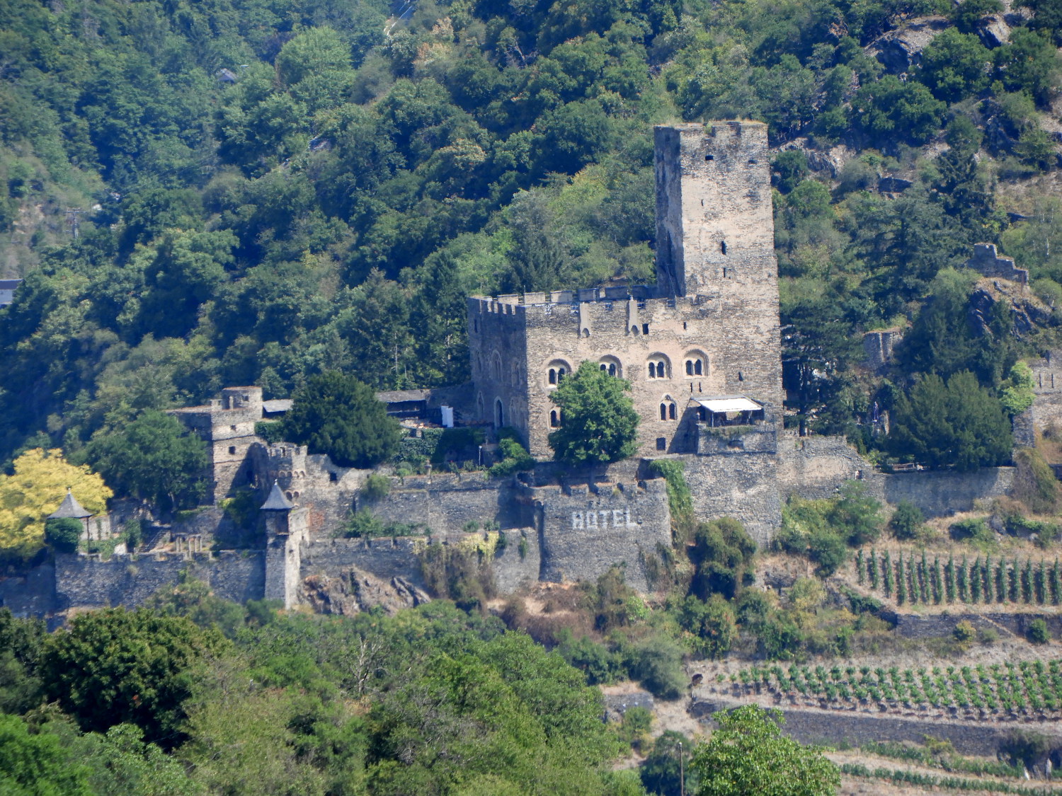 Burg Gutenfels