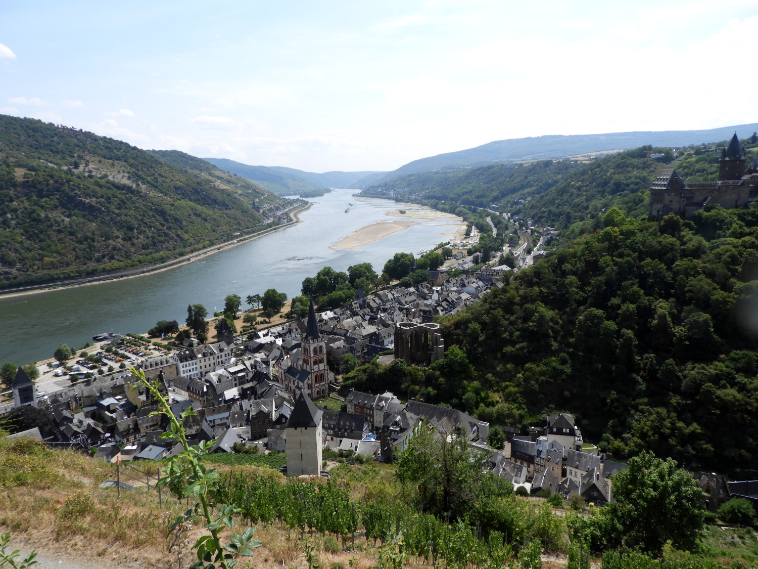 Bacharach