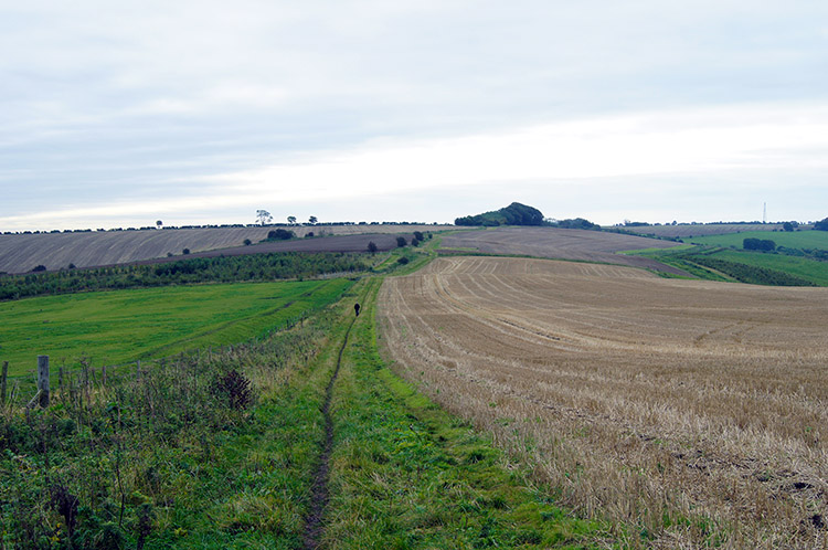 Heading towards Whitefield Hill