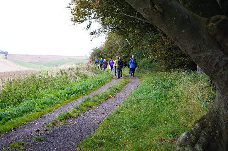 Ramblers on Round Hill Downs