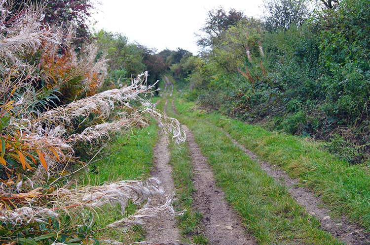 Skirting south of Ogbourne St George