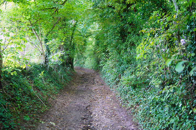 Walking to Southend