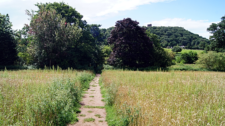 Heading to the Peckforton Hills