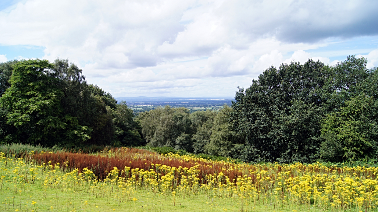 Beautiful Cheshire countryside