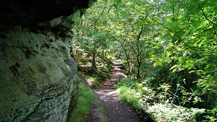 Sandstone outcrop on Bickerton Hill