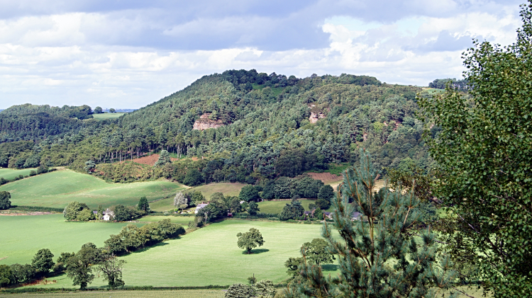 Cliffs of Bickerton Hill