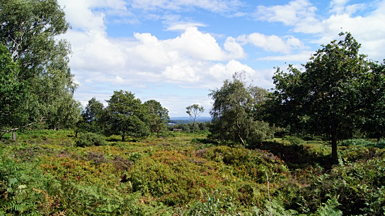 Maiden Castle, Bickerton Hill