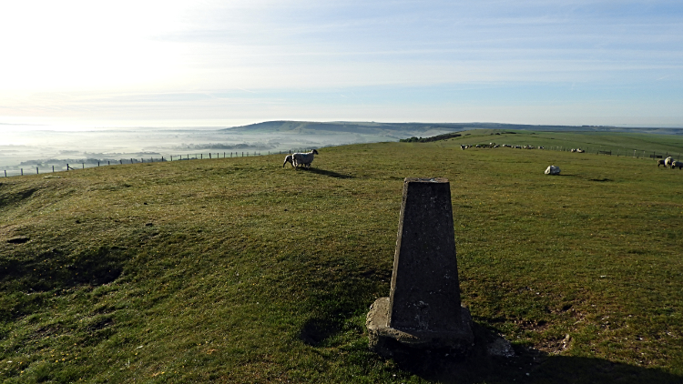 Firle Beacon