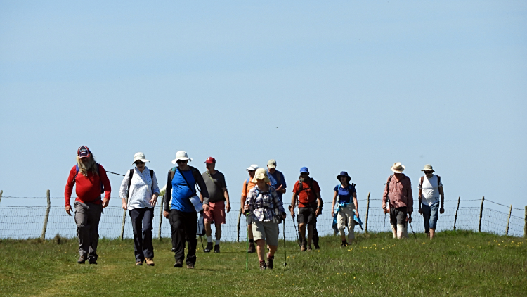 Sussex Ramblers