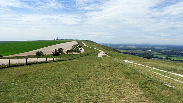 Edburton Hill