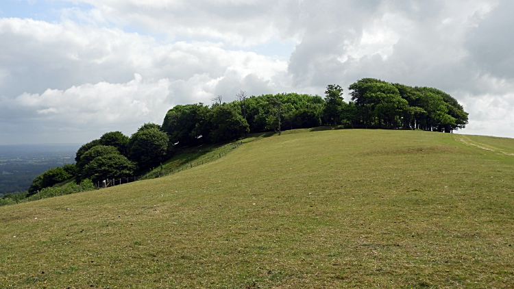 Chanctonbury Ring