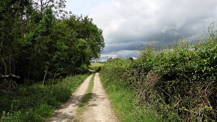 On the West Sussex Literary Trail