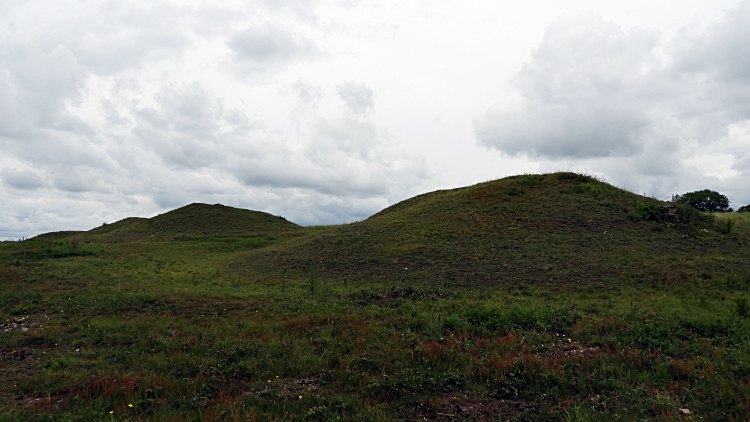 Devil's Jumps, Treyford