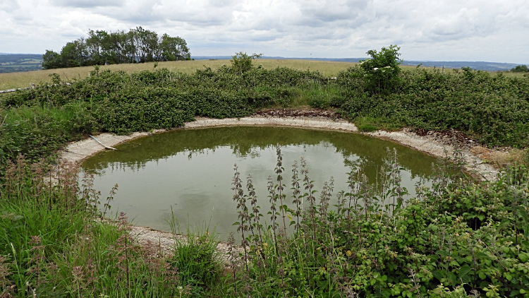 Dew Pond on Tower Hill