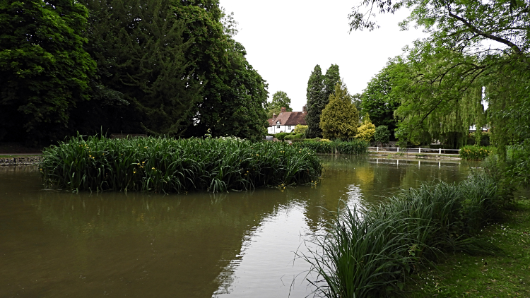 The village pond in Buriton