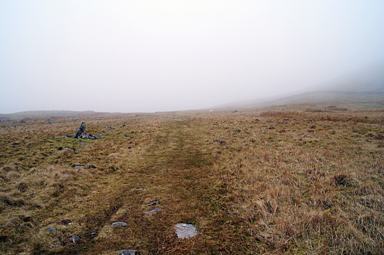 Into the fog of Moelfre in the Rhinogydd
