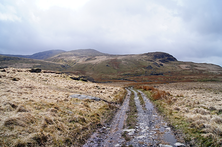 The track running alongside Afon Hyddgen