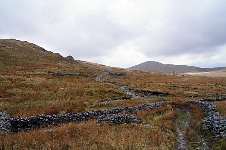 Beautiful mid Wales upland