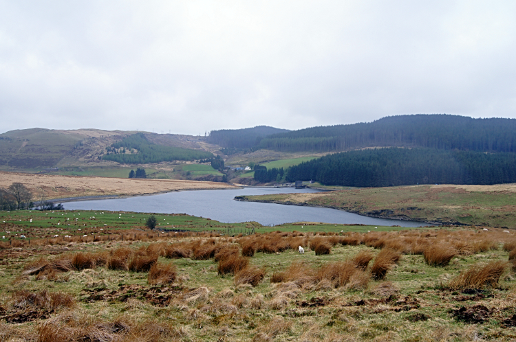 Dinas Reservoir