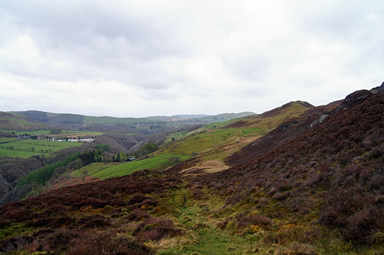 The view from Bryn Bras