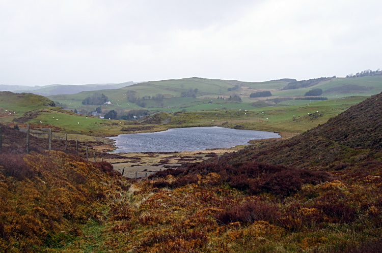 Llyn Bryn Bras