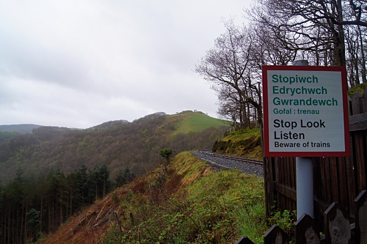 Vale of Rheidol Railway