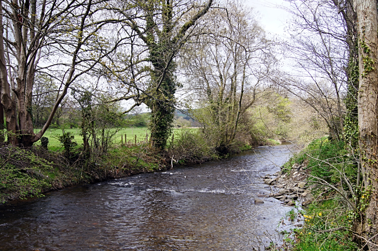 Afon Teifi