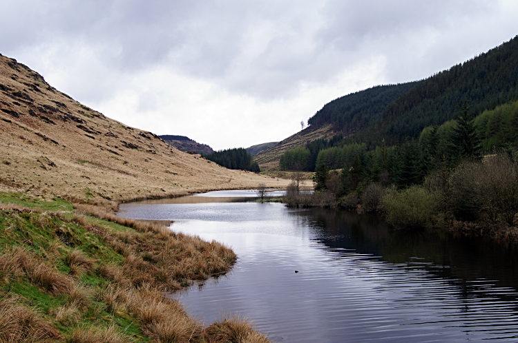 River Towey at Hafdre