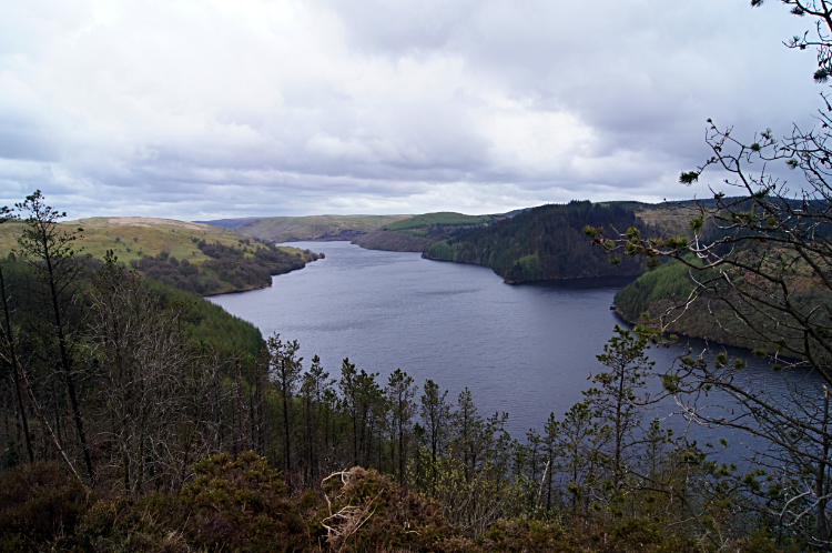 Llyn Brianne