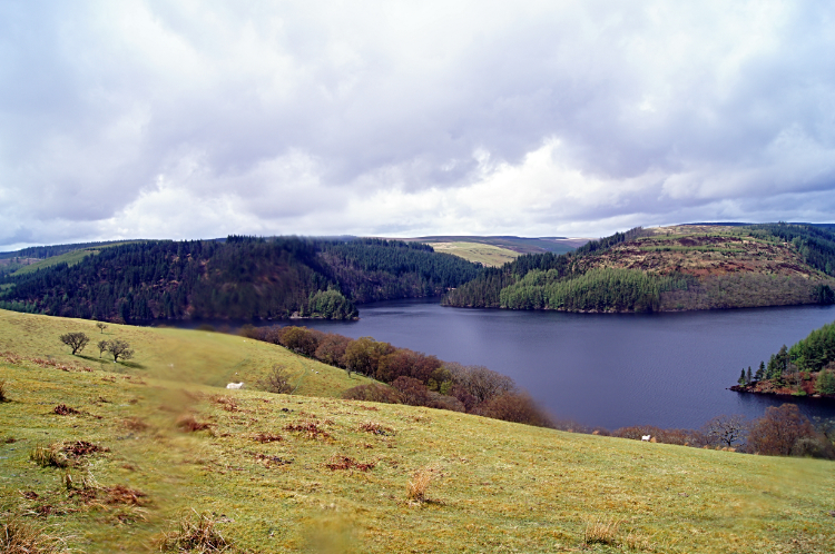 Llyn Brianne and Dalarwen