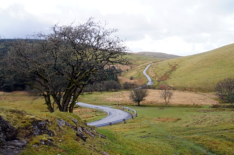 View of the road travelled at Trawsnant