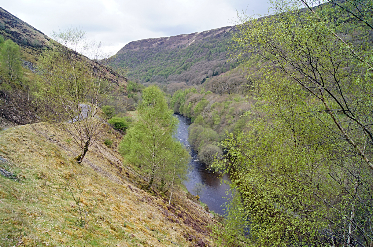 Afon Tywi