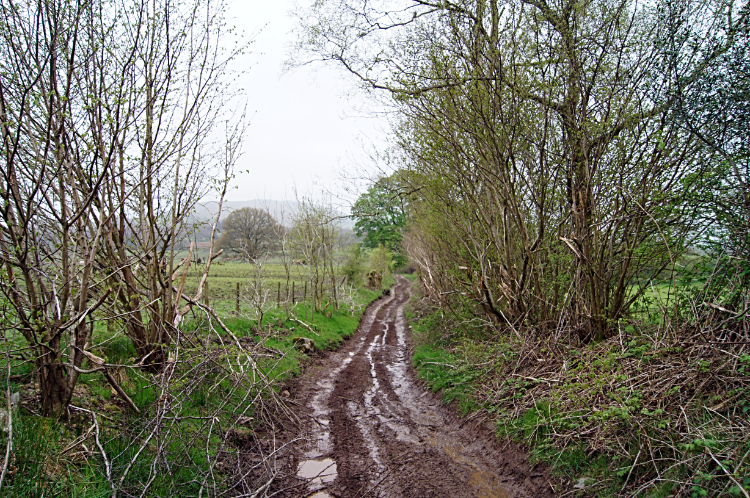 The slipping and sliding lane